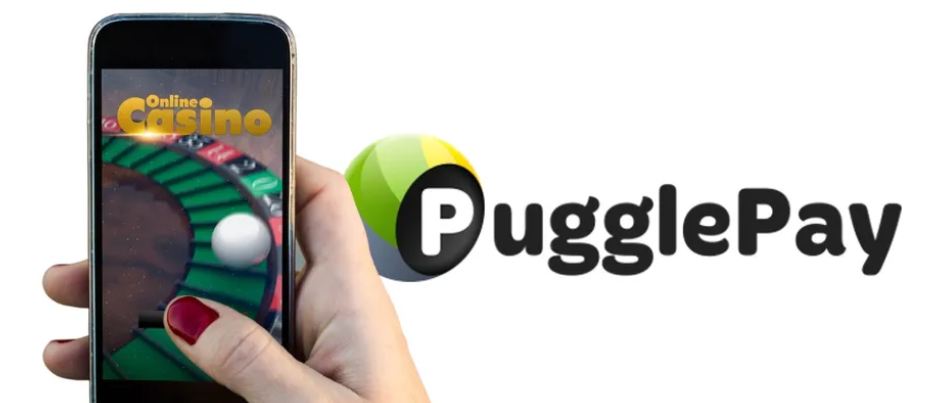 How PugglePay Casino Payments Work at Red Dog: Full Guide